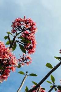 Essential SQL for Data Analysis