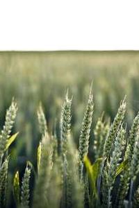 Cloud Computing Fundamentals