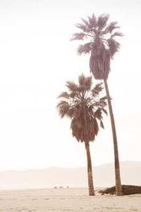 The Pragmatic Programmer